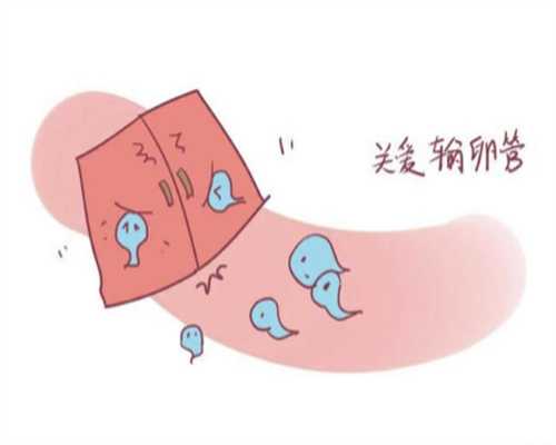 烟台卵巢性不孕试管解决方案：三代技术与供卵选择指南